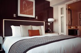 Hotels near Me under $50: Unbeatable Value for Comfortable Stays